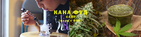 ПСИЛОЦИБИНОВЫЕ ГРИБЫ Богданович