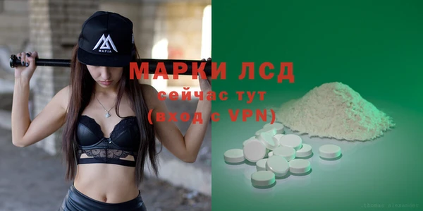 ПСИЛОЦИБИНОВЫЕ ГРИБЫ Богданович