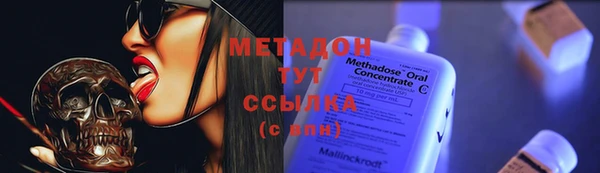 ПСИЛОЦИБИНОВЫЕ ГРИБЫ Богданович