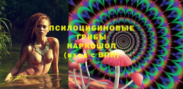 ПСИЛОЦИБИНОВЫЕ ГРИБЫ Богданович