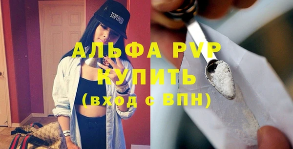 ПСИЛОЦИБИНОВЫЕ ГРИБЫ Богданович