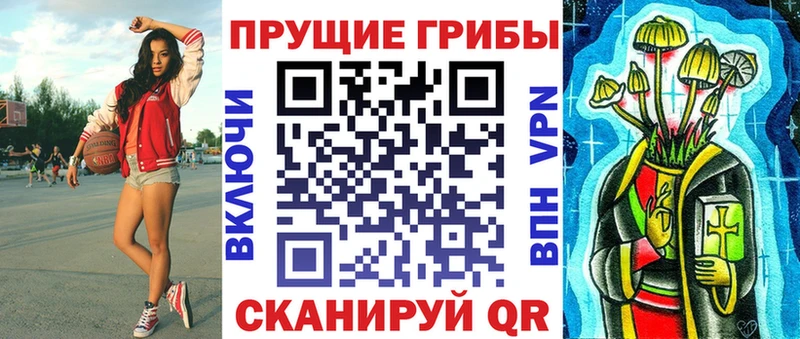где купить   Великий Новгород  Галлюциногенные грибы GOLDEN TEACHER 