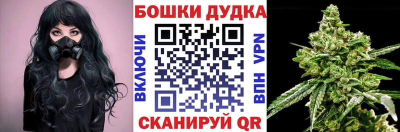 купить наркоту Великий Новгород Марихуана White Widow